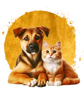 Чистка животных